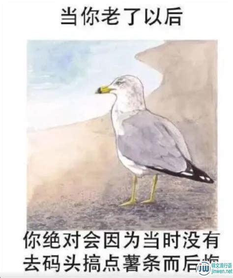 meme gif|「待会去码头整点薯条」是什么梗？